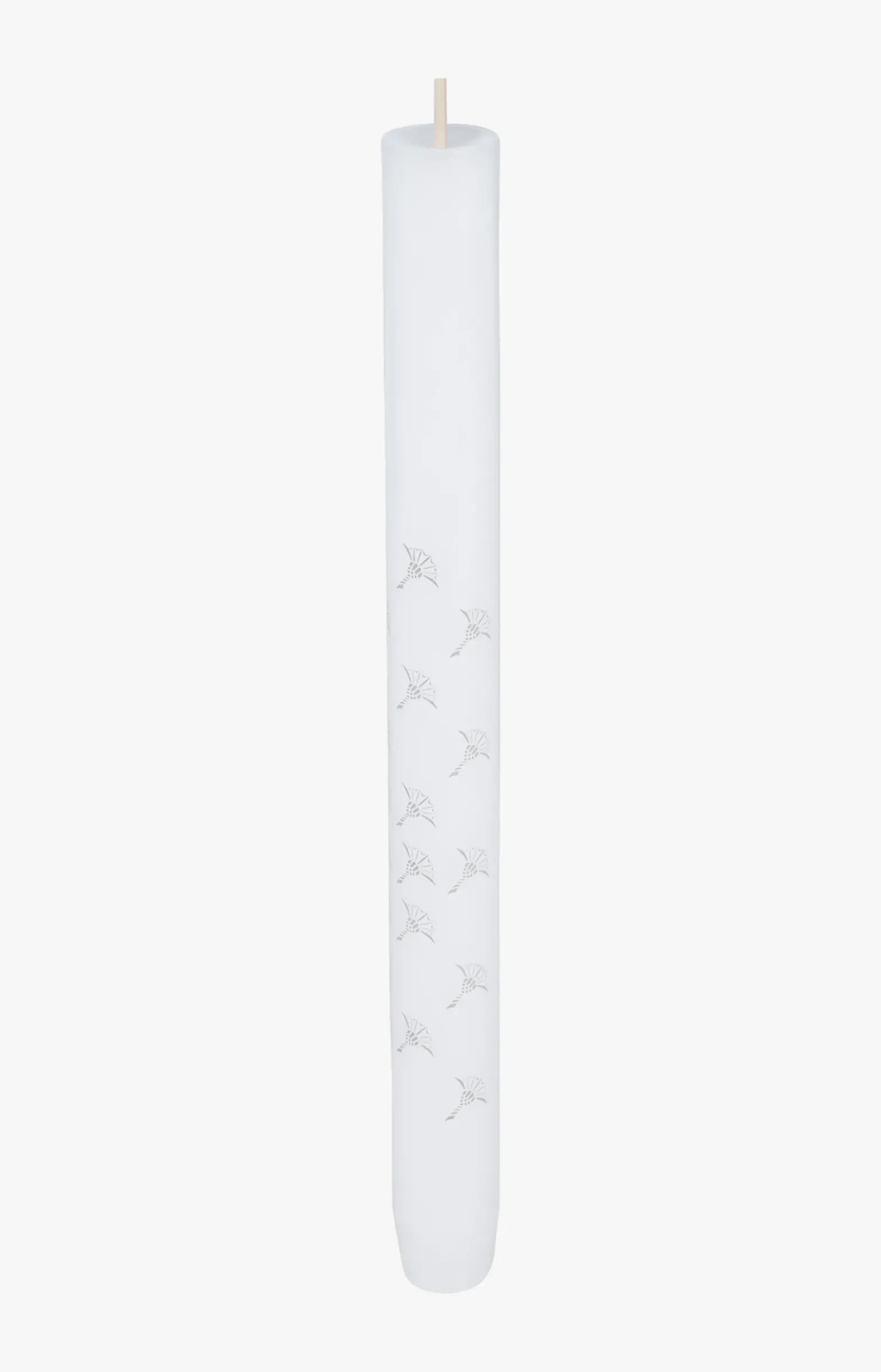 JOOP! Kerzen & Kerzenhalter>FADED CORNFLOWER Stabkerze in , 4er Set