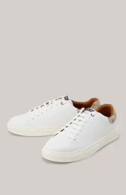 JOOP! Schuhe>Sneaker Mazzolino Fine in